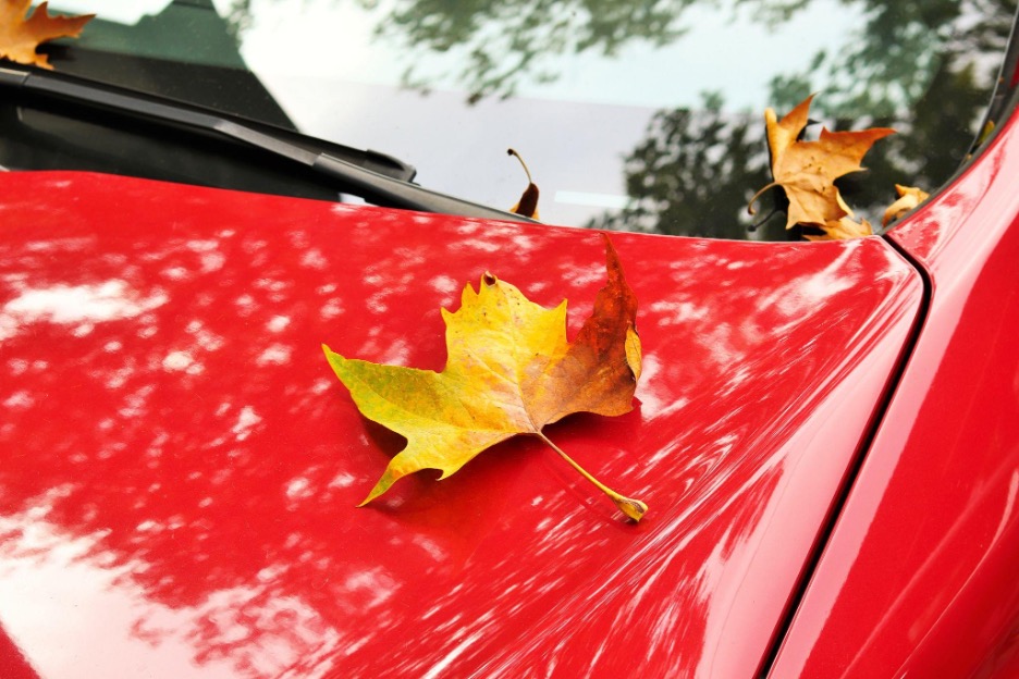 Choosing the Right Fall Car Wash Chemicals